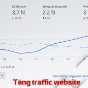 Traffic website và lợi ích của việc tăng traffic cho website mới