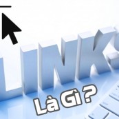 Đường link là gì? Các loại đường link phổ biến và vai trò của đường link trong SEO