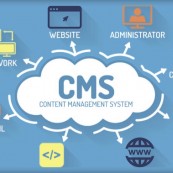 Hệ thống CMS là gì? Cách thức hoạt động của CMS website
