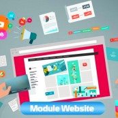 Khám phá các module web phổ biến nhất khi xây dựng website