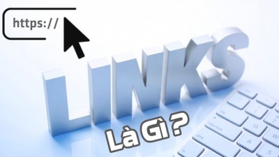 Đường link là gì? Các loại đường link phổ biến và vai trò của đường link trong SEO