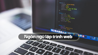 Top 6 ngôn ngữ lập trình web thông dụng nhất hiện nay