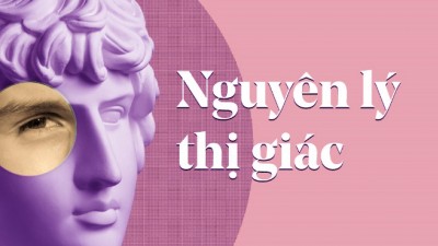 Nguyên lý thị giác là gì ? tầm quan trọng của việc ứng dụng nguyên lý thị giác vào thiết kế
