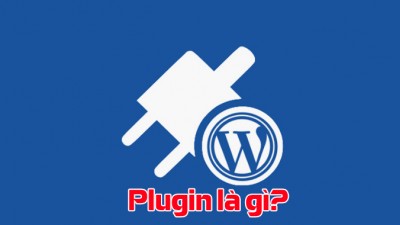 Plugin là gì? Vai trò của plugin
