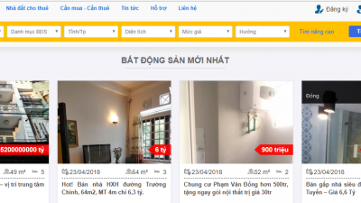 chia sẻ 2 themes website đăng tin bất động sản tốt nhất hiện nay