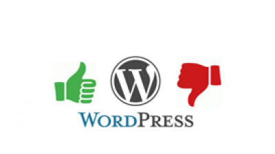 Ưu điểm và nhược điểm khi thiết kế website bất động sản bằng wordpress