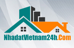Hình ảnh Thiết kế website Nhà đất Việt Nam 24h