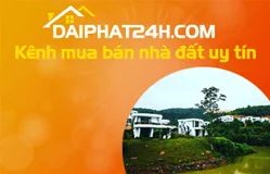 Thiết kế web nhadatvendo.vn