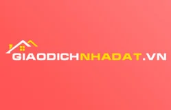 Thiết kế website Giao dịch nhà đất