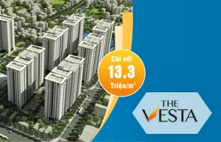 Thiết kế web dự án Thevesta.org