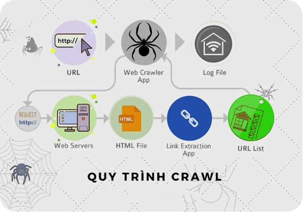 Quy trình Crawl dữ liệu