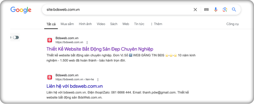 Cách kiểm tra index google