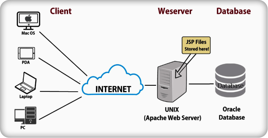 Các loại server phổ biến